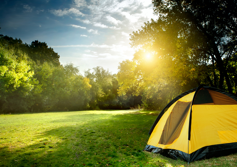 Camping Le Vauvert (91) - France