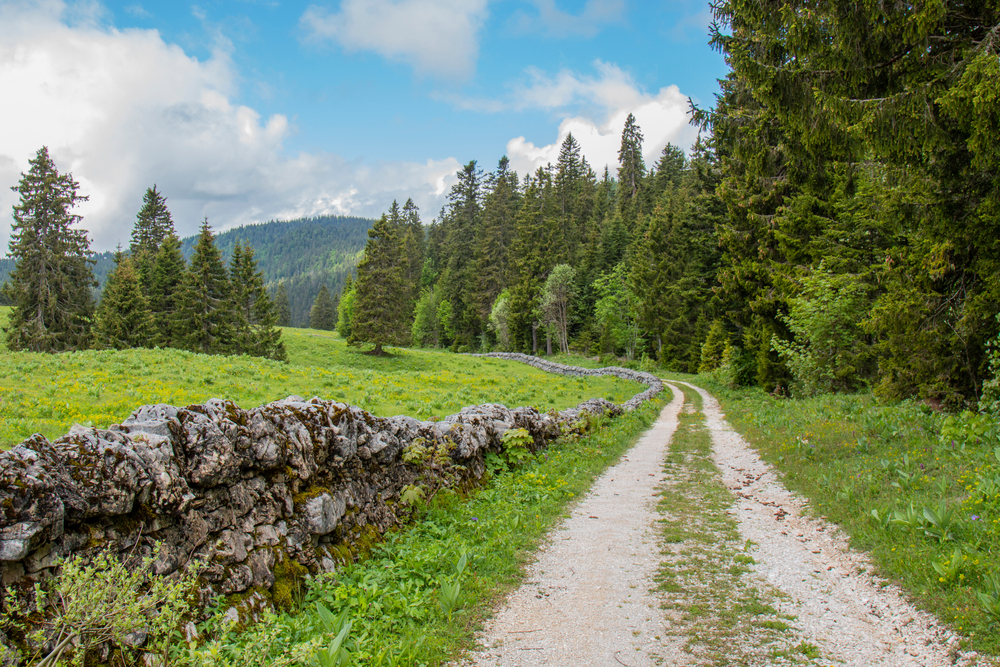 Camping La Prairie - Boissia - (39) - France 